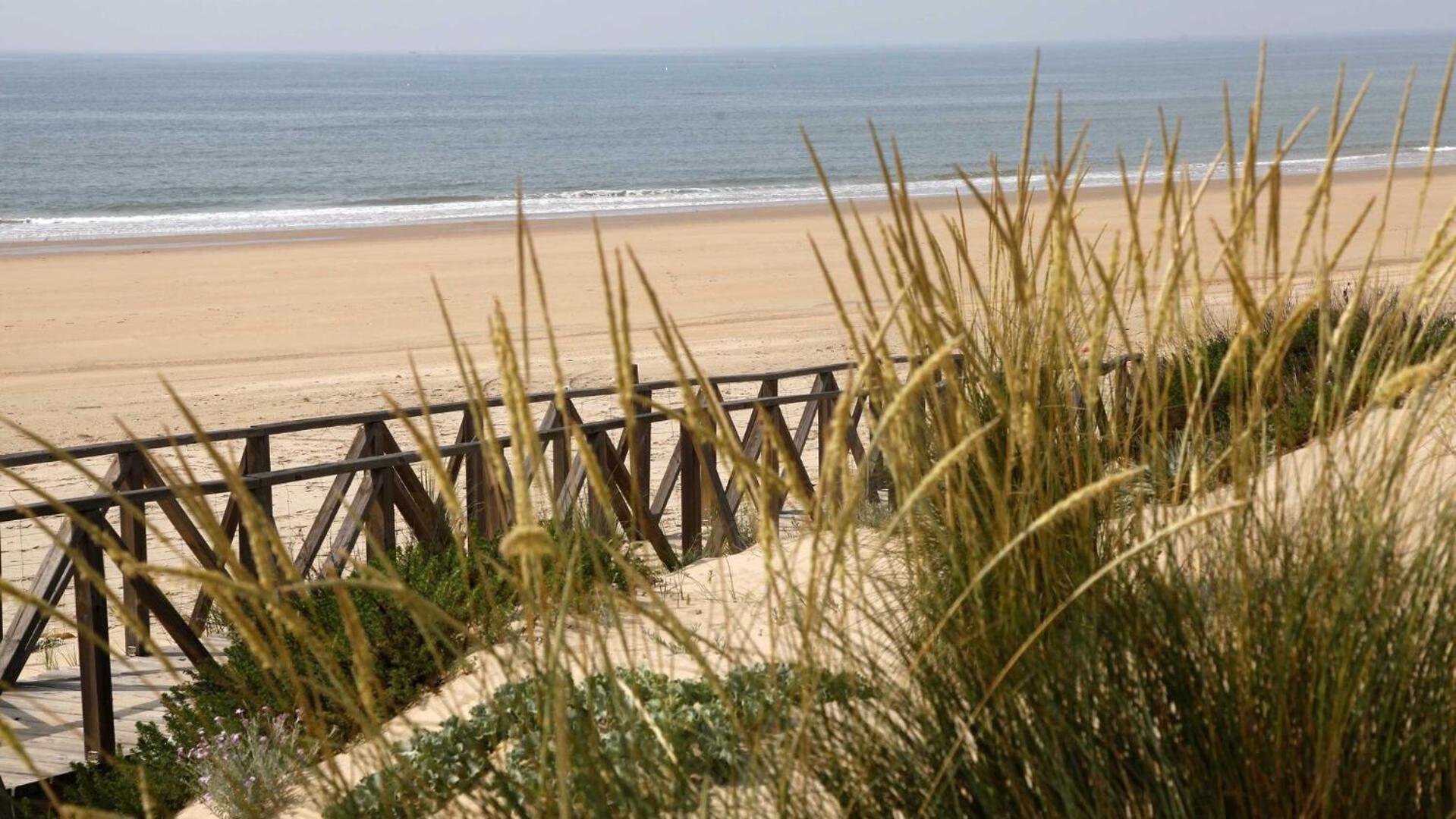 Paqo Lodge Laguna Del Portil, A 400 Metros De La Playa Екстериор снимка